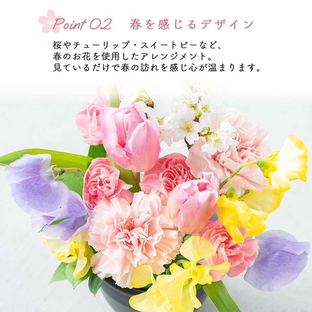 Amazon｜【5月1日(金)から5月14日(木)はお届け不可となります】桜